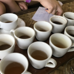 バリ島で超高級コーヒー(コピ・ルアック)を生産している農園で学ぶ「相手の予想を良い意味で裏切る大事さ」